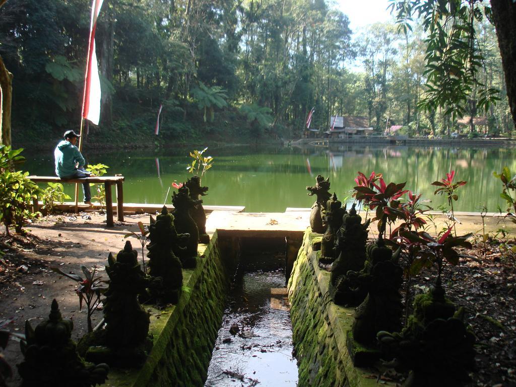 Thalia Homestay & Ijen Bromo Tour Banyuwangi  Exterior foto