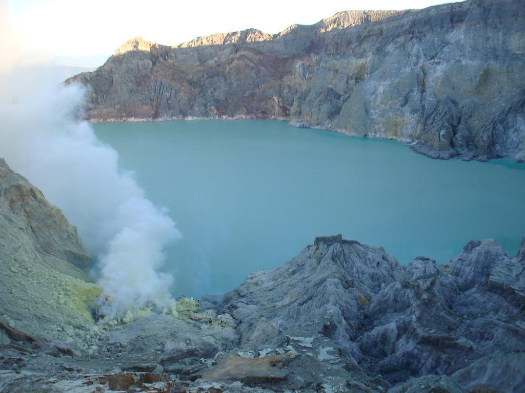 Thalia Homestay & Ijen Bromo Tour Banyuwangi  Exterior foto