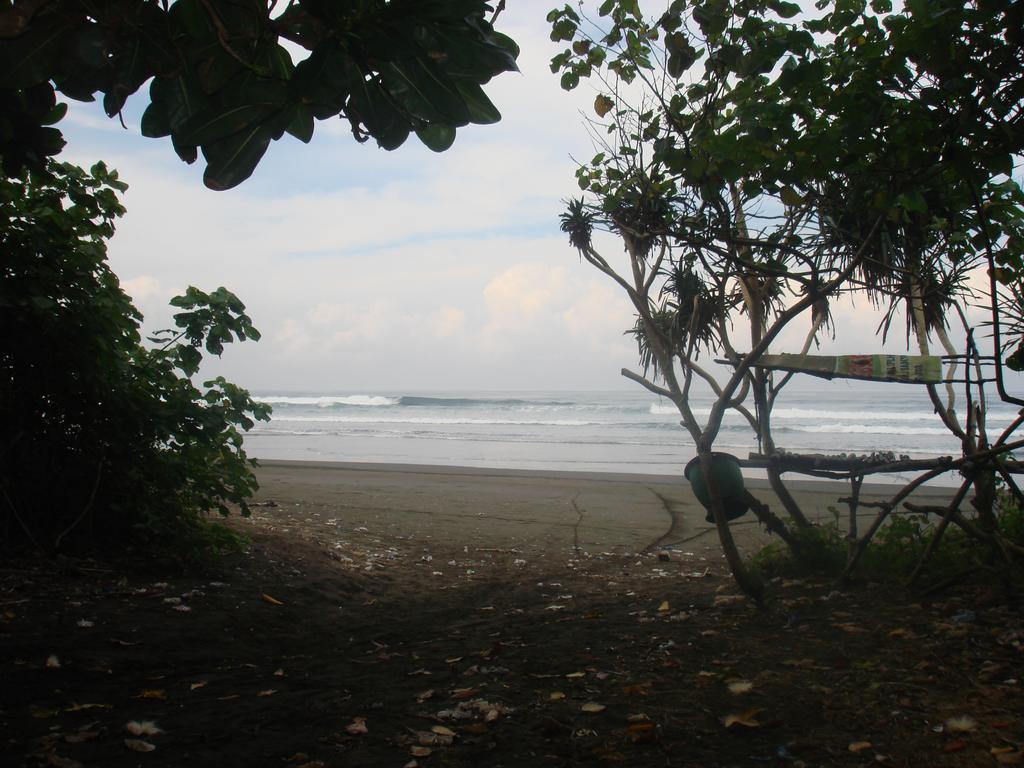 Thalia Homestay & Ijen Bromo Tour Banyuwangi  Exterior foto